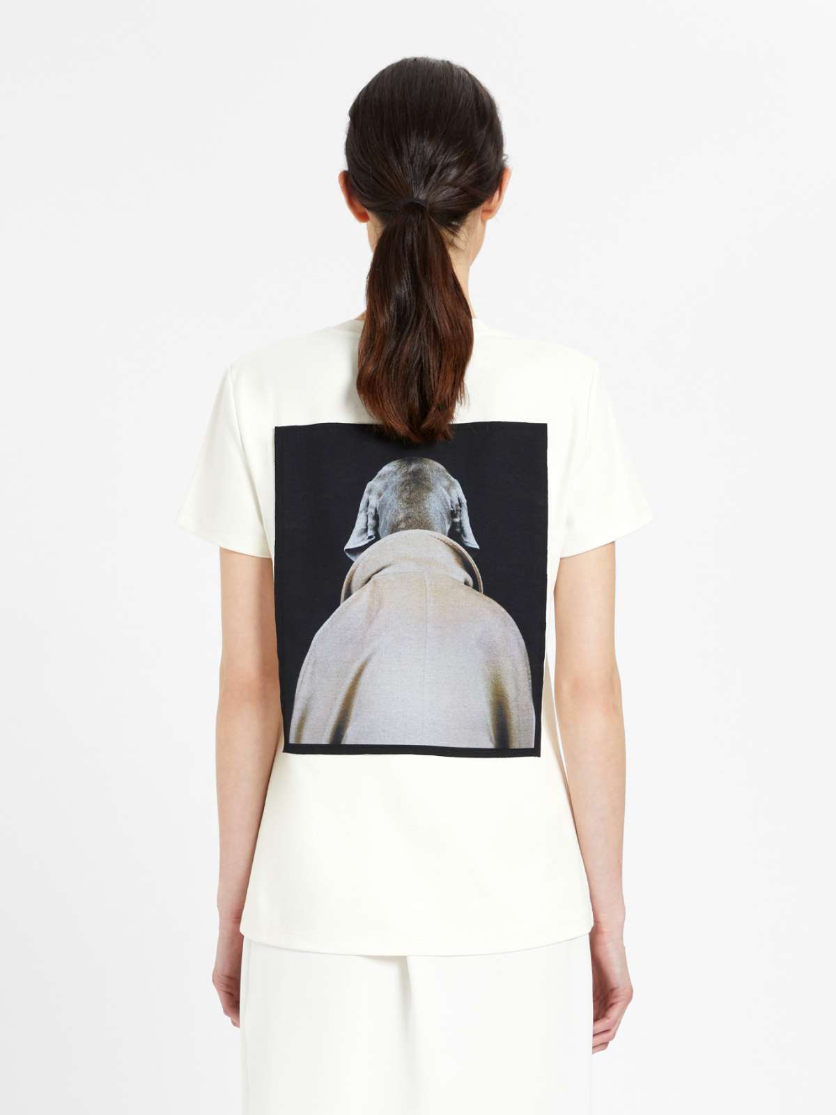 Cotton T-shirt - SILK - Max Mara - 4