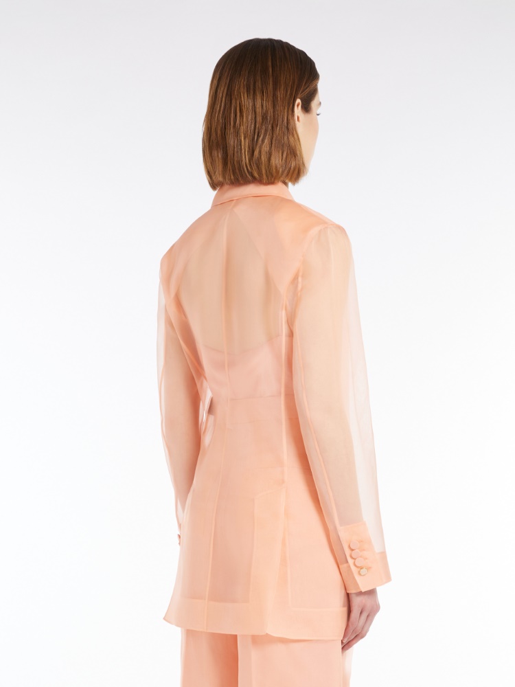 ジャケット Max Mara ESOPO ORGANZA JACKET (2511041064600 10035 057) Max Mara Pianoforte Esopo Organza Jacket – LOZURI®