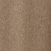 HAZELNUT BROWN