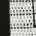 WHITE BLACK