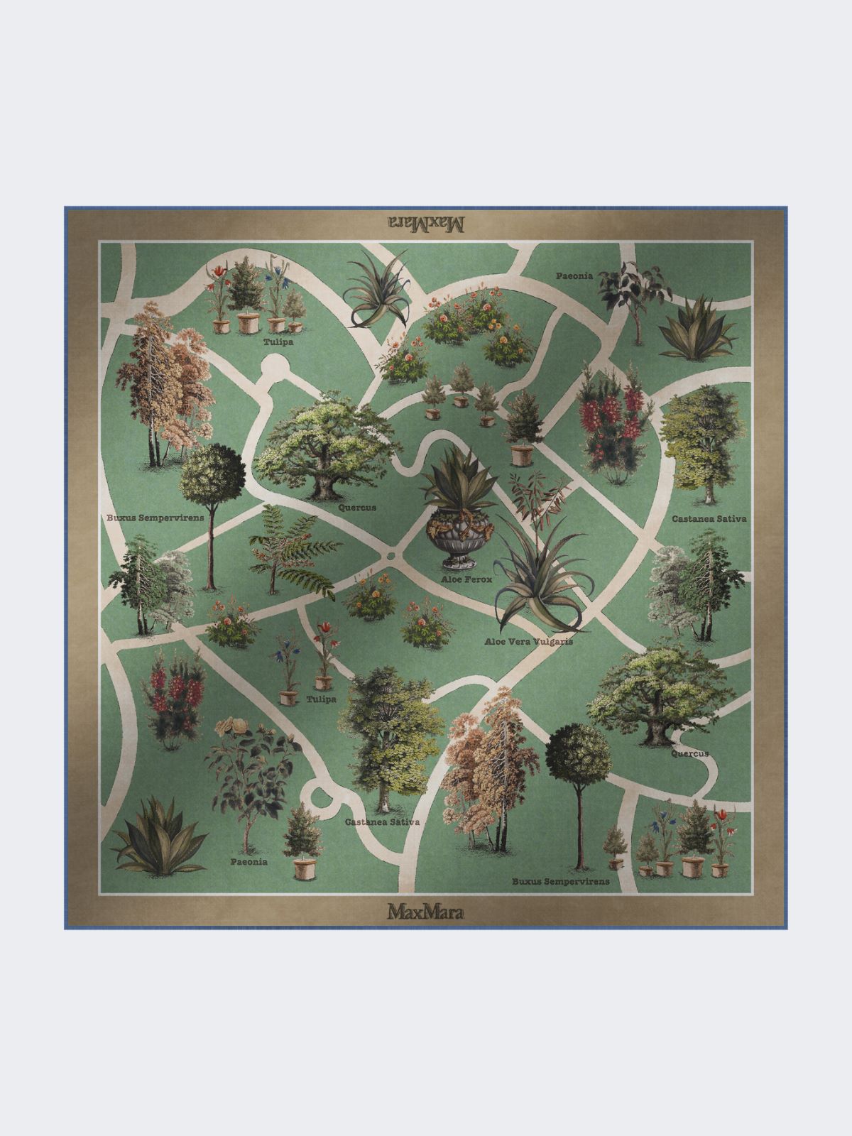 Printed silk oversized scarf - LIGHT BLUE - Max Mara - 9