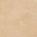 AMBER BROWN