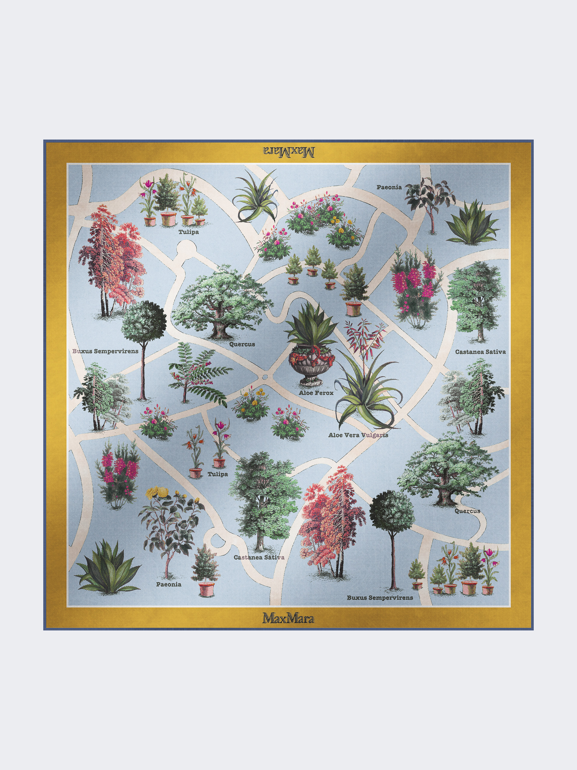 Maxi carré in lana e seta stampata - SENAPE - Max Mara