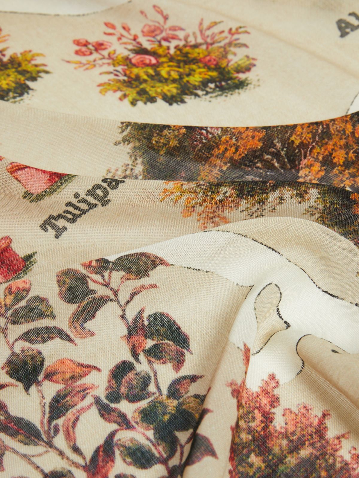 Oversized scarf in printed silk and wool - ANTIQUE ROSE - Max Mara - 3