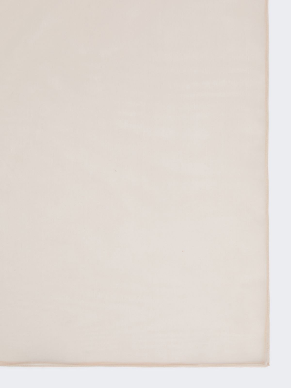 Étole en organza de soie - POUDRE - Max Mara - 2