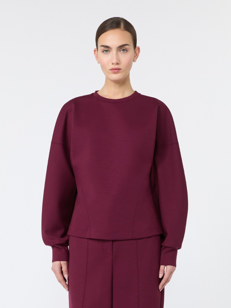 Wool and Lyocell jersey sweater - DE COLOR VINO - Max Mara - 2