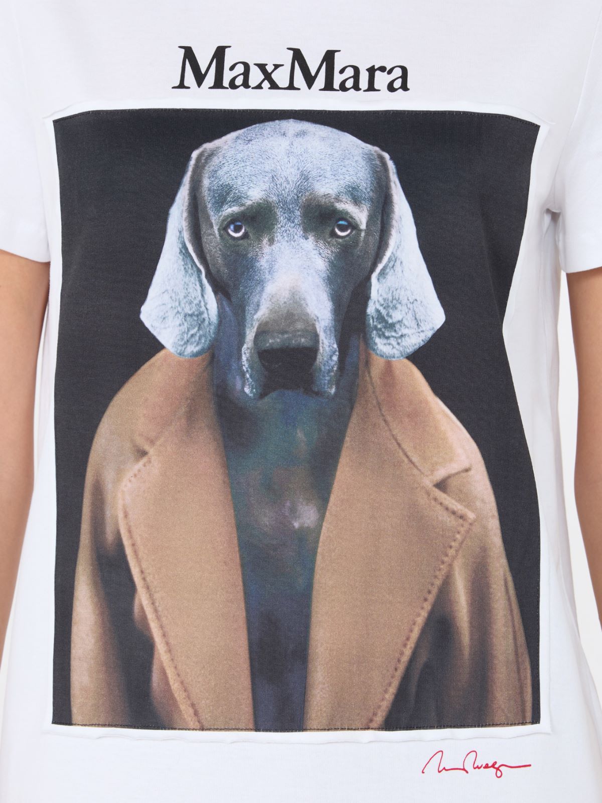 Iconic print-adorned jersey T-shirt - WHITE - Max Mara - 4