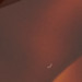TAWNY BRONZE BROWN