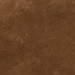 COCOA