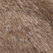 BEIGE GOLDEN