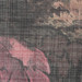 ROSA SCHATTIERT