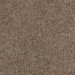 HAZELNUT BROWN
