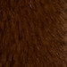 HAZELNUT BROWN